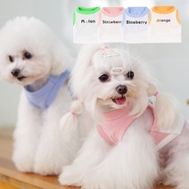 도매창고 과일 강아지옷 고양이 봄옷 여름 사계절 외출 매쉬 나시티 민소매 티셔츠 쿨링, 블루베리