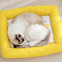 시원한 반려동물 쿨매트 고양이 강아지더울때 방석, 옐로우