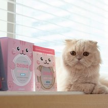 스토어봄 캣츠모리 고양이 덴탈껌 와이어츄 닭고기맛 1box-캣츠모리 203002