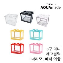 미니 블럭 6구 마리모 어항 마리모키우기 베타어항