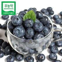 푸르젠 [순창직송] 무농약 급냉 블루베리 2kg(500g 4봉)/(상품/13mm~18mm이하), 단품없음