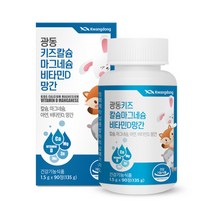 광동 키즈 어린이 칼슘 마그네슘 비타민D 망간 90정, 1통