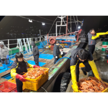 [산지 직송 감동수산]다리 수율 80%이상 고급 연지홍게 3KG (10마리 ) 산지직송 당일조업 게뚜껑 볶음밥용 라면용 육수용 파지 당일발송 또는 순차배송 홍게 가성비 으뜸, 10마리 당 한묶음