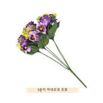 IS 5송이 아네모네 조화, 레드