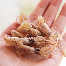 건꼴뚜기 호래기 말린 마른 꼴뚜기 230g 여수직송 고록 오징어, 01.꼴뚜기(230g)