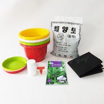 로즈마리키우기 7종, 단품