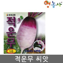 적운무씨앗 100립, 1개