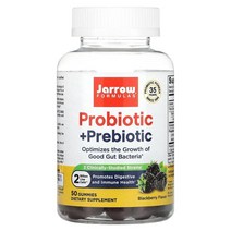 자로우 포뮬라 Jarrow Formulas Probiotic + Prebiotic Blackberry 2 Billion 50 Gummies, 4개