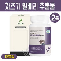 차즈기 빌베리 추출물 정 국내산 자소엽 고농축 차조기 추출 분말 보라색 깻잎 유기농 빌베리 쥬스 가루 타블렛 루테올린 베타카로틴 함유 캡슐 식약처 해썹 인증, 2개, 프리미엄 차즈기 빌베리 추출물 120정
