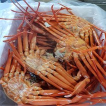 제철 자숙 홍게 3kg (11~13미 내외) 게살볶음밥 해산물 홍개, 1개