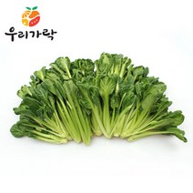 브랜드없음 [우리가락]비타민 500g, 단품없음