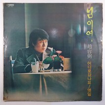 (중고LP 물세척) 조용필/ 님이여/ 어디로 갔나요/ 1978년 발매반/ 자켓 닳음 얼룩 있음 파손은 수선함/ 음반 A면 양호 B면-5 제작불량으로 잡음 있음