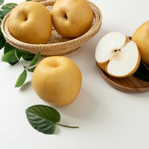 [달찐과일] 나주배 가정용 5kg (10-12과), 단품