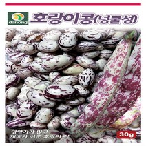 다-호랑이강낭콩 30g