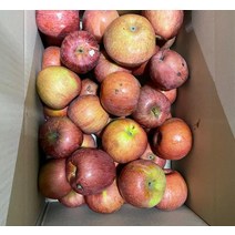 경북사과 꿀사과 부사 청송 안동 못난이 흡집사과 쥬스용 10KG