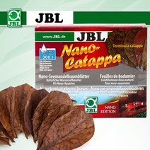 샘아쿠아 JBL 나노 카타파 알몬드잎 10장