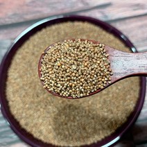 국산 차좁쌀 500g 청 차조 2022년