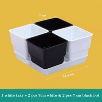 meshpot succulents pot 선인장 컨테이너 루트 제어 플라스틱 화분 공기 구멍 4 pots 1 tray item, 7cm 믹스