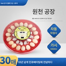 Ciliver HHD 소형 스마트 인큐베이터 비둘기 가금류 계란 인큐베이터 병아리 사육 인큐베이터 인큐베이터, 1개, EW-30（46 * 46.5 * 14.5cm）