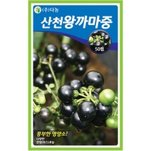 곤드레 100립 - 씨 씨앗 곤드레씨앗 곤드레씨 나물씨 나물씨앗 민속채소 채소씨 채소씨앗 고려엉겅퀴, 32_다농_산천왕까마중(50립)