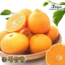 올찬 [올찬] 황금향 5kg 27~30과 (중), 1