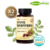 웰핏 발효율피 추출물 프리미엄정 1000mg 60정, 4박스(8개월분)