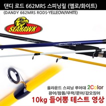 씨호크 스피닝 댄디로드 선상바다루어낚시대 광어참돔우럭쭈꾸미갑오징어, 댄디화이트 702MRS
