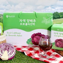 빨간양배추즙 적색 자색양배추 브로콜리진액 100프로 국내산원료, 적색양배추즙 90mlx30포 1박스, 1개
