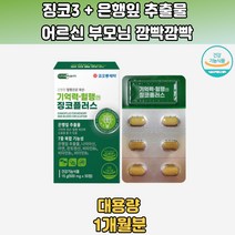 기억력 효과 혈행 징코플러스 은행잎 추출물 1개월분 은행잎효능 은행추출물 은행잎 은행잎추출물기억력 은행잎구매 노인뇌 기억력에좋은음식 기억력증진 뇌혈관청소부 혈액순환
