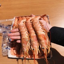 L1 아르헨티나 정품 랍스타새우 킹단새우 1+1kg 총 2kg