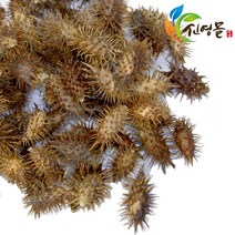 신영몰 도꼬마리 창이자 300g 국산 도꼬마리차 원물재료, 1개, 단품