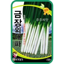 주주씨앗 금장외대파 2000립 대파종자 씨앗 상품성좋은대파