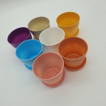 선인장 비싼 다육이 반려식물 화분 베란다 다육 미니 공기정화 장미 거실 실내 식물키우기 텃밭 화초 분갈