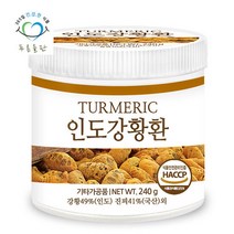 푸른들판 인도 강황환 240gx1통 강황 뿌리 진피 환 투메릭 진저, 단품