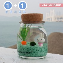 원플러스 [1 1]그린 마린토끼 DIY세트-마리모중(10mm)포함, 1개