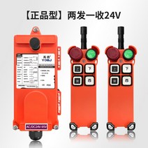 Yuding 원격 제어 F21-4S 오버 헤드 크레인 여행 전기 호이스트 무선 산업용, 정품 2송신 1수신 24V
