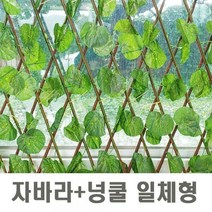 일체형 인조 넝쿨 울타리 자바라 조화 식물, 02_상록수 자바라/70cm