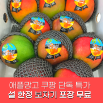 항공직송 프리미엄 고당도 애플망고 선물세트, 로얄과 4kg