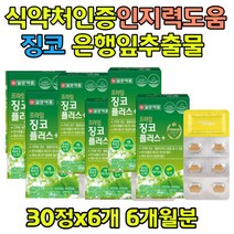 기억력 비타민 은행잎추출물 징코 GINKGO 에너지생성 아연 면역 인지질 영양제 브레인 학생 청소년 할머니 할아버지 선물 식약처인증