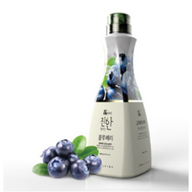 웰파인 블루베리 농축액, 1.5L, 2개