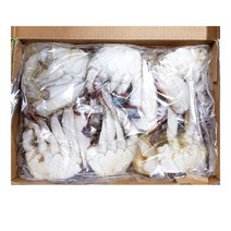 [더착한푸드]냉동 절단꽃게 450g(2L) 식자재마트 대용량 업소용 절단꽃게 냉동수산물 수산물 절단 꽃게