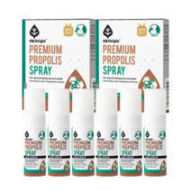 뿌리는 프로폴리스 스프레이 엔젯오리진 입냄새 구취 제거제 15ml x 6통
