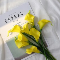 화이트 카라 조화 카라부케 웨딩촬영 부케, B