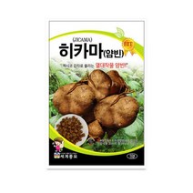 히카마(얌빈) 씨앗 채소 히카마종자(50g) MK106, 1개
