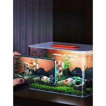 아크릴수족관 투명 어항 수조관 해수 구피 새우 수경재배 아크릴수조, 필터 어항 30 x22x19cm 소형 C2