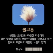 센테이션 메탈 아이원 차량용 방향제 향리필 스틱 디퓨저, 쿨코튼향 리필