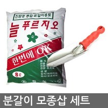 여인초 아레카야자 행운목 분갈이 몬스테라 분갈이흙, 2.식물고정타이(50입x2개) 17cm