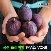 이츠올릿 영암 하우스 홍 무화과 500g (5-8과) 1팩 산지직송 해남 청무화과, 홍무화과 500g(5~8과) x 2팩