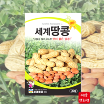 땅콩씨앗 땅콩 종자씨 30g/ 홈가드닝