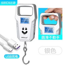 전자저울 스마트 휴대용 전자식 핸드식저울 거는고리 계량저울 견고함 마이크로형 컨트롤러 디테일 몸무게 물류 미니타입, T02-UBS충전식 은색(빅사이즈 스커트추가
